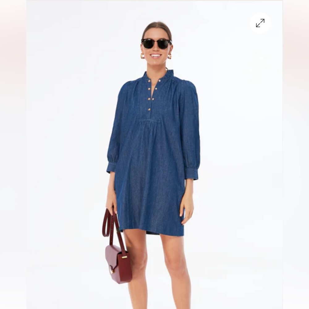 Tuckernuck Blue Mini Dress